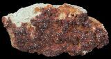 Ruby Red Vanadinite Crystal Plate - Morocco #64829-2